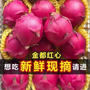 新鲜现摘红心火龙果产地现发超甜红肉正宗金都一号应季水果批发