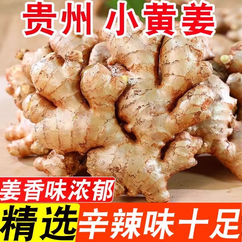 贵州正宗小黄姜2025老姜新鲜生姜高山沙姜老姜土姜蔬菜农家自种,水产肉类/新鲜蔬果/熟食,生姜/南姜,淘宝优惠券,粉丝福利购,淘宝优惠卷