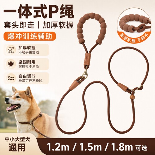 狗狗牵引绳一体式P绳遛狗绳爆冲