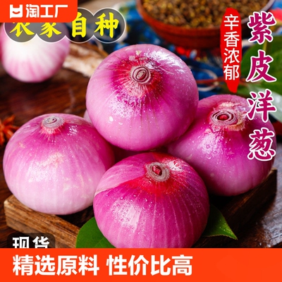 山东紫皮洋葱新鲜5斤蔬菜