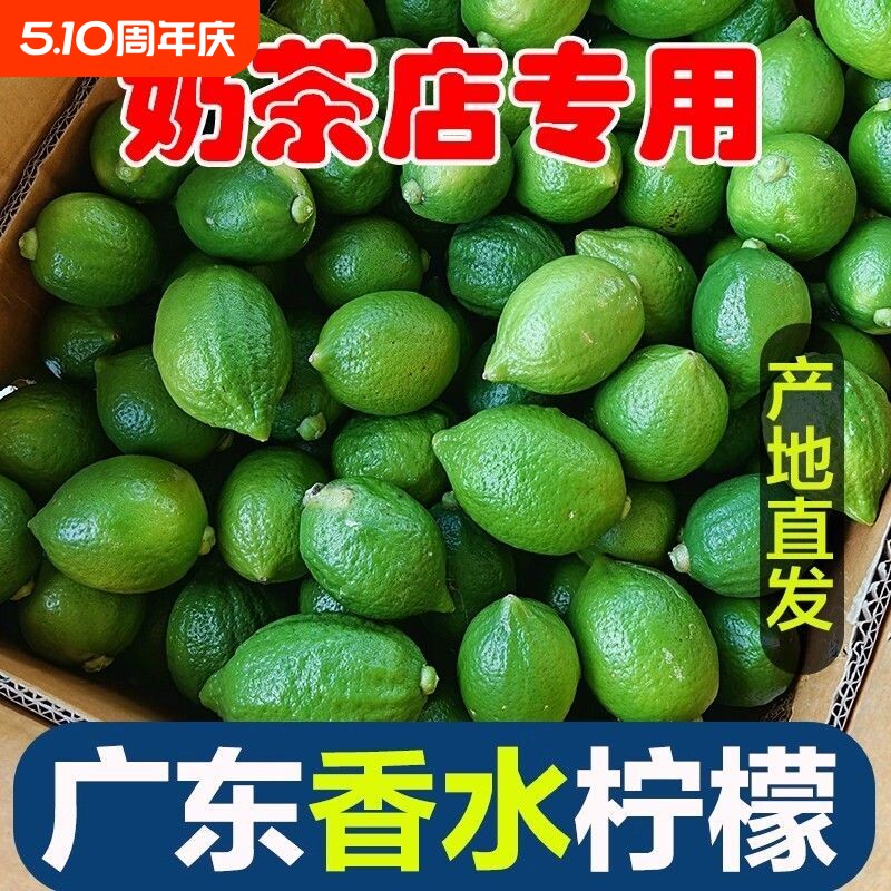现摘广东香水柠檬奶茶店专用新鲜无籽青皮绿一级5斤10斤鲜柠檬