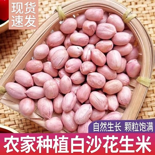 花生米新货大颗粒白沙花生种子批
