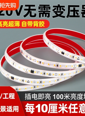 高压220v自粘led灯带软线形贴片免无变压器线型防水灯条低压超亮