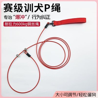 狗狗牵引绳狗绳防爆冲p绳p链大小型犬狗链子防咬遛狗钢丝赛级大狗