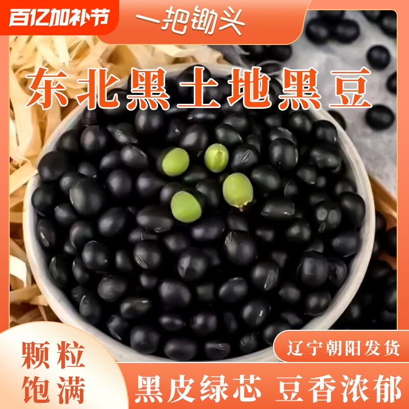 新货绿芯生黑豆打豆浆专用东北农家自种杂粮黑大豆子发芽5斤批发