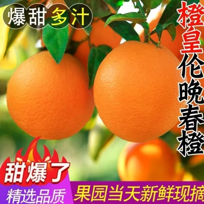 正宗伦晚脐橙新鲜橙子9斤当季水果整箱包邮秭归果冻甜橙大应季