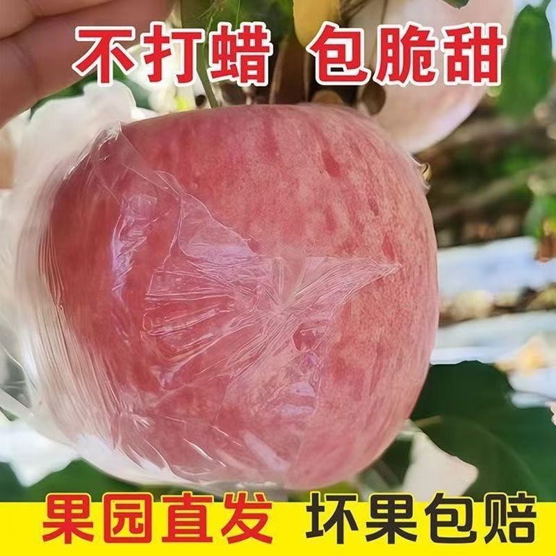 脆甜多汁】正宗山西红富士苹果新鲜应季孕妇水果膜袋苹果一整箱,水产肉类/新鲜蔬果/熟食,苹果,淘宝优惠券,粉丝福利购,淘宝优惠卷