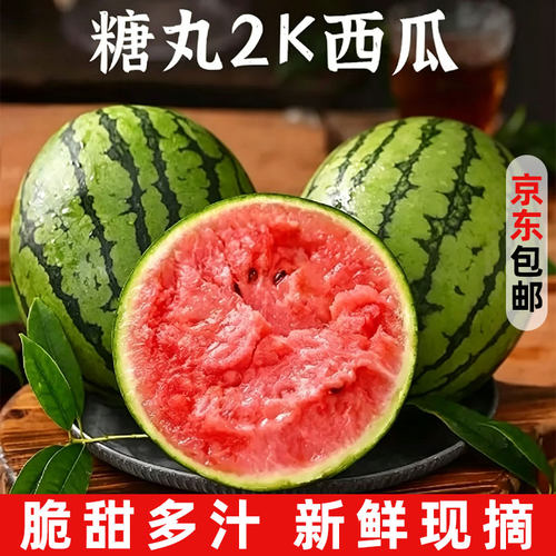 山东糖丸小西瓜新鲜水果当季现摘薄皮手剥冰淇淋手撕红心2k西瓜