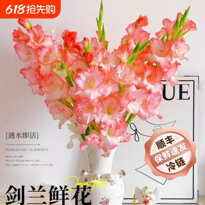 剑兰鲜花云南基地直发玫瑰百合花卉家用插花鲜切花真花超长花期