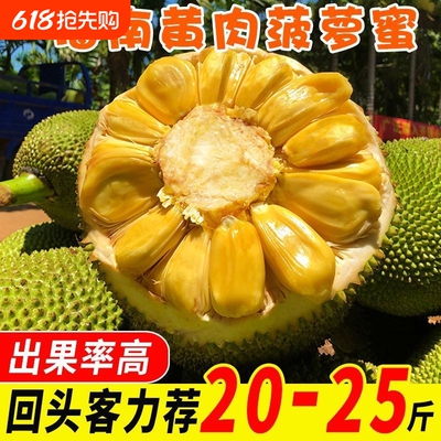 正宗海南菠萝蜜整个新鲜波罗蜜榴莲热带水果黄肉批发整箱包邮菠萝