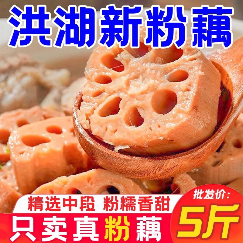 湖北正宗洪湖粉藕新鲜莲藕九孔藕煲汤加热营养商用家用现挖现发