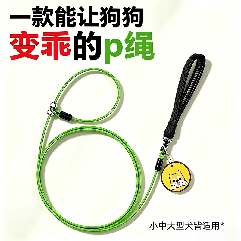 狗牵引绳小型犬狗绳防爆冲p绳金毛中型犬大型犬p链外出防水狗链子