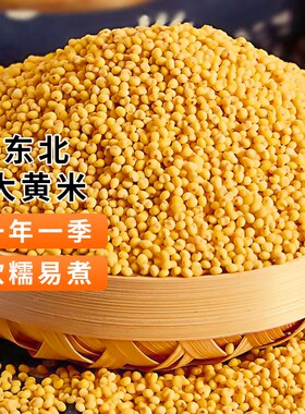 东北大黄米农家自产粗粮杂粮