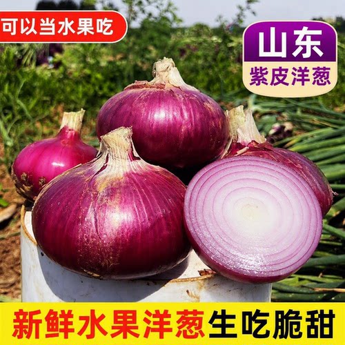 抢9斤紫皮洋葱甜味新鲜生吃水果蔬菜洋葱不辣农家特产包邮自提
