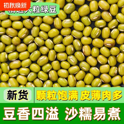 发芽绿豆200克|超5000次加购