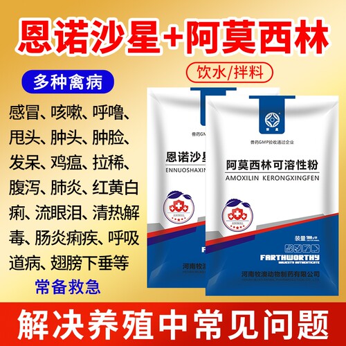 荣星恩诺沙星粉广谱抗菌消炎药