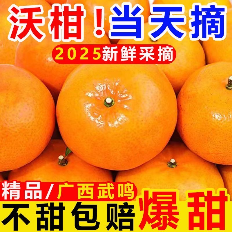 正宗广西沃柑新鲜橘子水果当季现摘皇帝桔子贡柑砂糖甜橘大果10