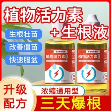快速生根液植物营养液通用扦插富贵竹蝴蝶兰水培专用肥料生长强力