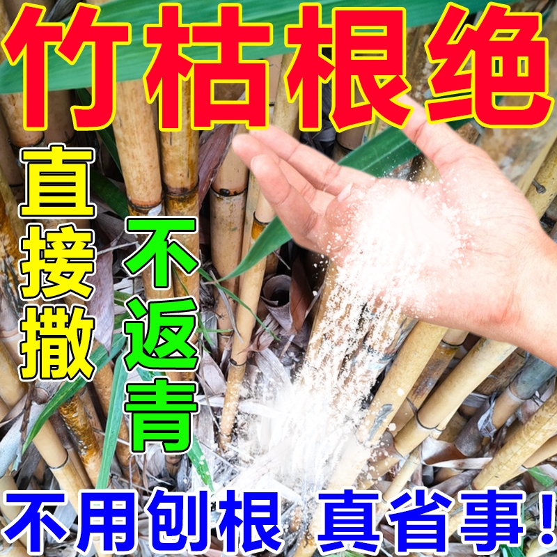 除去竹子的药竹根连根烂强力清竹子灌木腐蚀根绝植物根部处理肥料