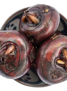 新鲜马蹄荸荠9斤特大果包邮水果带泥脆甜当季现挖自种农家