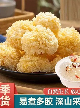 椴木小银耳新鲜无熏硫烫火锅