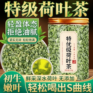荷叶中药材茶正品官方旗舰店干茶去湿气减泡水养生茶冲泡罐装好喝