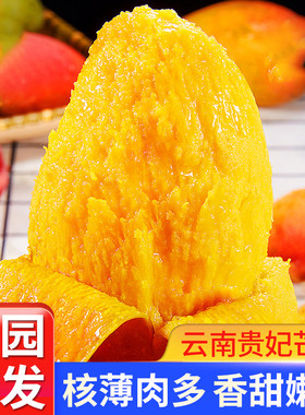 【催熟食用】云南贵妃芒果金凤凰核小肉厚爆甜无丝当季新鲜水果