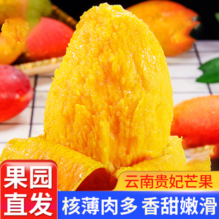 【催熟食用】云南贵妃芒果金凤凰核小肉厚爆甜无丝当季新鲜水果