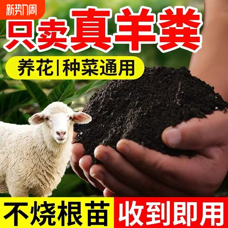羊粪发酵有机肥料蔬菜专用花肥内蒙古发酵纯羊粪农家肥腐熟种菜肥