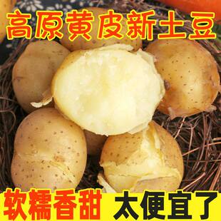 新鲜云南黄皮黄心土豆10斤洋芋马铃薯农家高山土豆 包邮