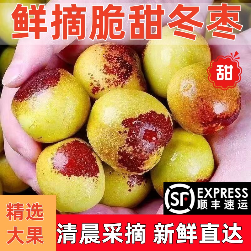 顺丰包邮正宗冬枣新鲜大果应季整箱枣子现摘脆枣冰糖大枣当季水果