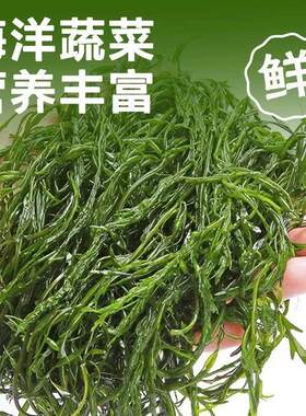 鞭炮笋马尾藻长寿菜凉拌菜盐渍火锅麻辣烫炮仗笋海草鞭无添加凉菜
