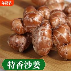 广东茂名沙姜新鲜粤菜白切鸡配料三奈山奈沙姜种子化州高州信宜姜
