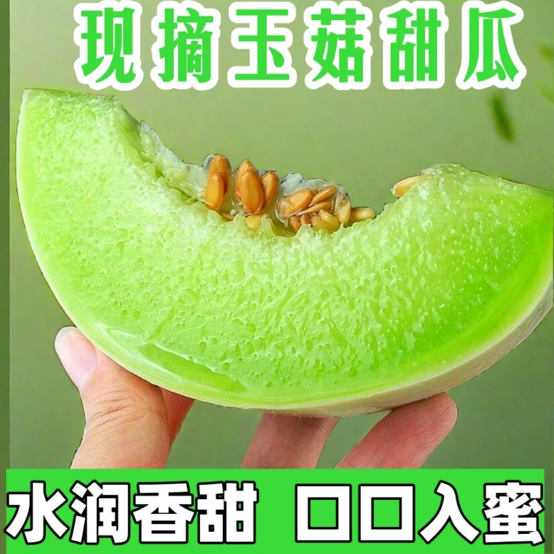 【甄选】正宗海南玉菇甜瓜新鲜水果当季正宗冰淇淋蜜香羊角瓜整箱