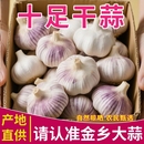 山东紫皮干蒜蒜新鲜紫白皮多瓣蒜农家干蒜头蒜瓣批发 便宜好货