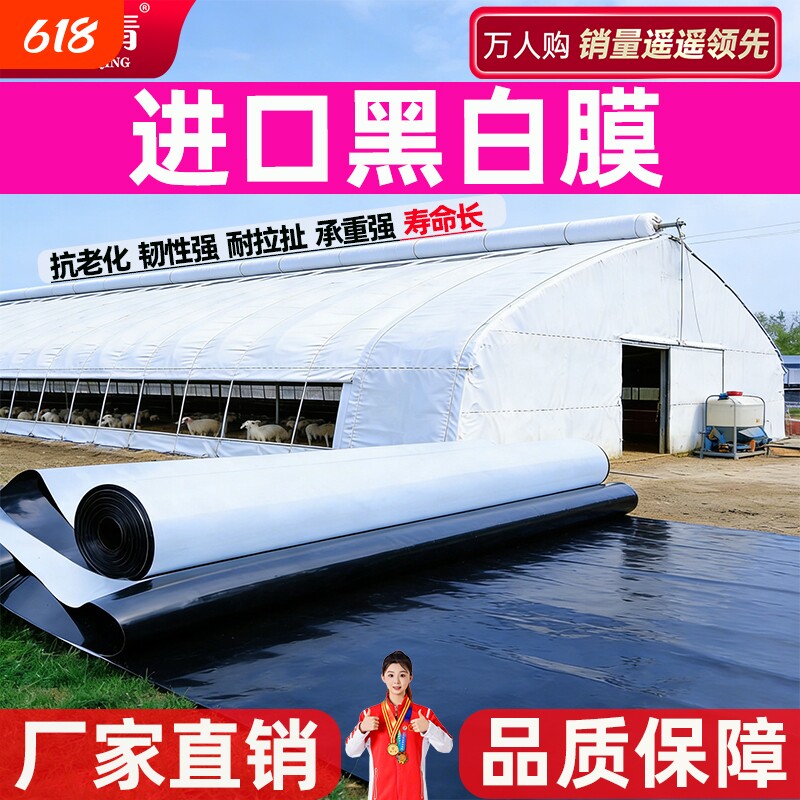 进口黑白膜抗老化防晒加厚大棚隔热降温保温反光食用菌膜养殖鱼塘