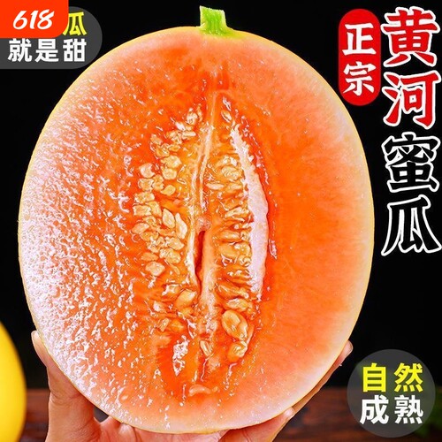 现货陕西黄河蜜瓜甜瓜黄皮黄肉白肉香瓜新鲜应季水果新鲜甜瓜