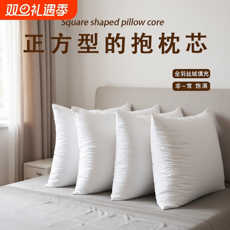 抱枕芯内胆45 50 60客厅沙发靠枕腰枕靠背垫套大床上靠垫方芯