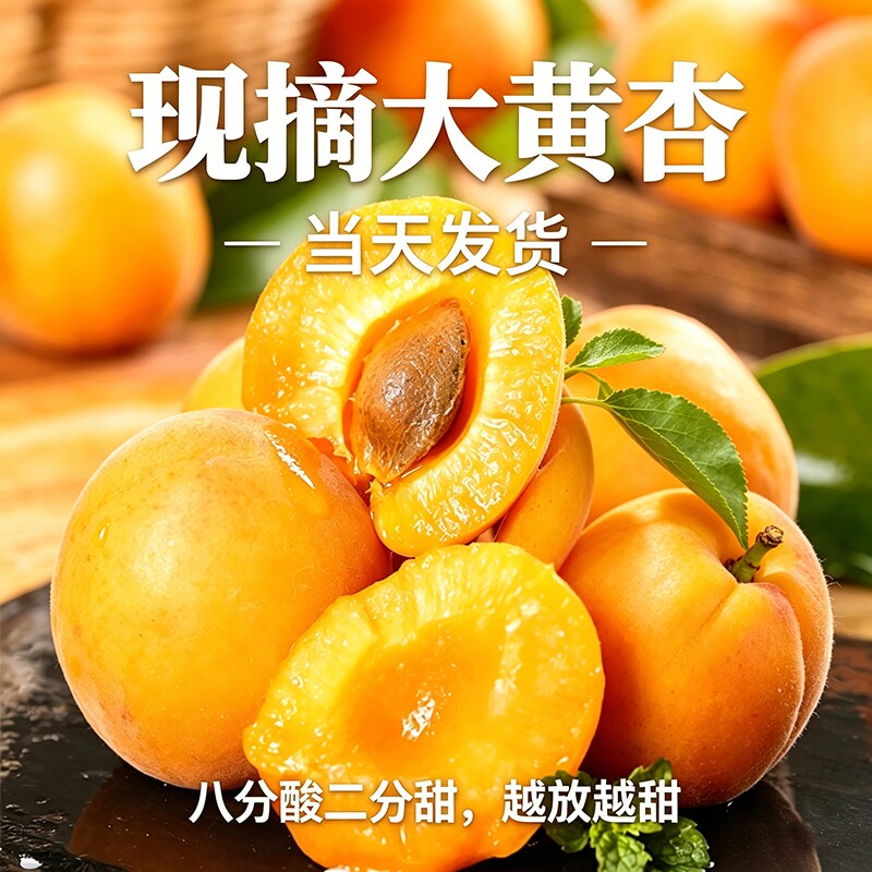 杏子新鲜水果顺丰现摘现发陕西大荔大黄杏鲜杏子金太阳杏黄杏酸杏