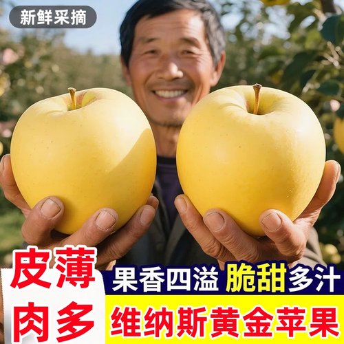 维纳斯黄金苹果脆甜多汁