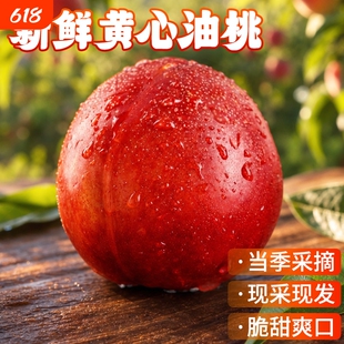 湖北襄阳  红油桃新鲜现摘现发露天大果园直发整果鲜甜营养丰富