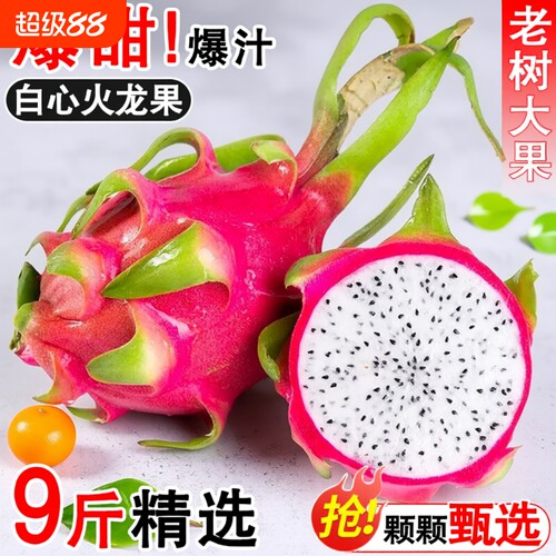越南火龙果白心当季水果新鲜整箱甜红蜜宝心金都9斤现摘鲜果精品