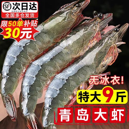 大虾鲜活基围虾特大青虾冷冻青岛鲜对虾速冻海虾海鲜水产配送白虾