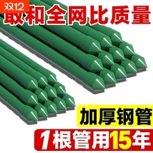 爬藤架葡萄黄瓜豆角架月季植物花架支撑杆园艺包塑钢管西红柿支架