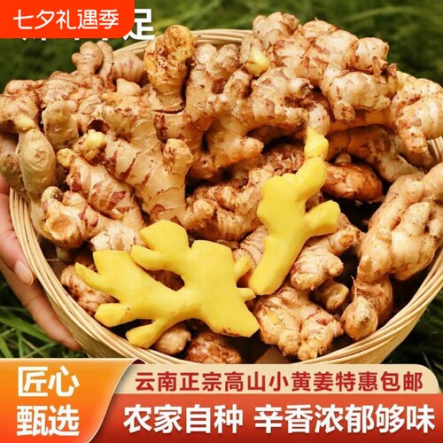 农家原生态种植土姜新鲜生姜
