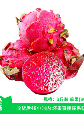 【芭芭农场兑换专享】红心火龙果3斤单果300g+