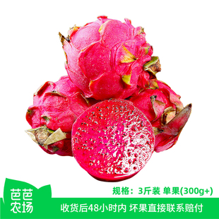 【芭芭农场兑换专享】红心火龙果3斤单果300g+