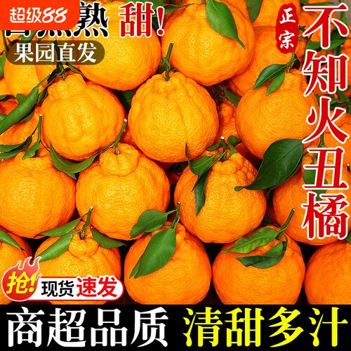 四川不知火丑橘鲜鲜现摘甜蜜多汁