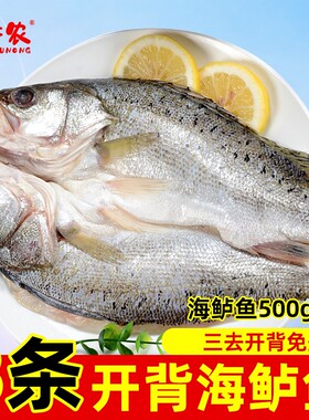 千牛农海鲈鱼冷冻三去胶东半岛