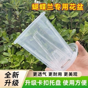 底控根盆透明蝴蝶兰花专用花盆塑料透气青山观根盆种植家用手工